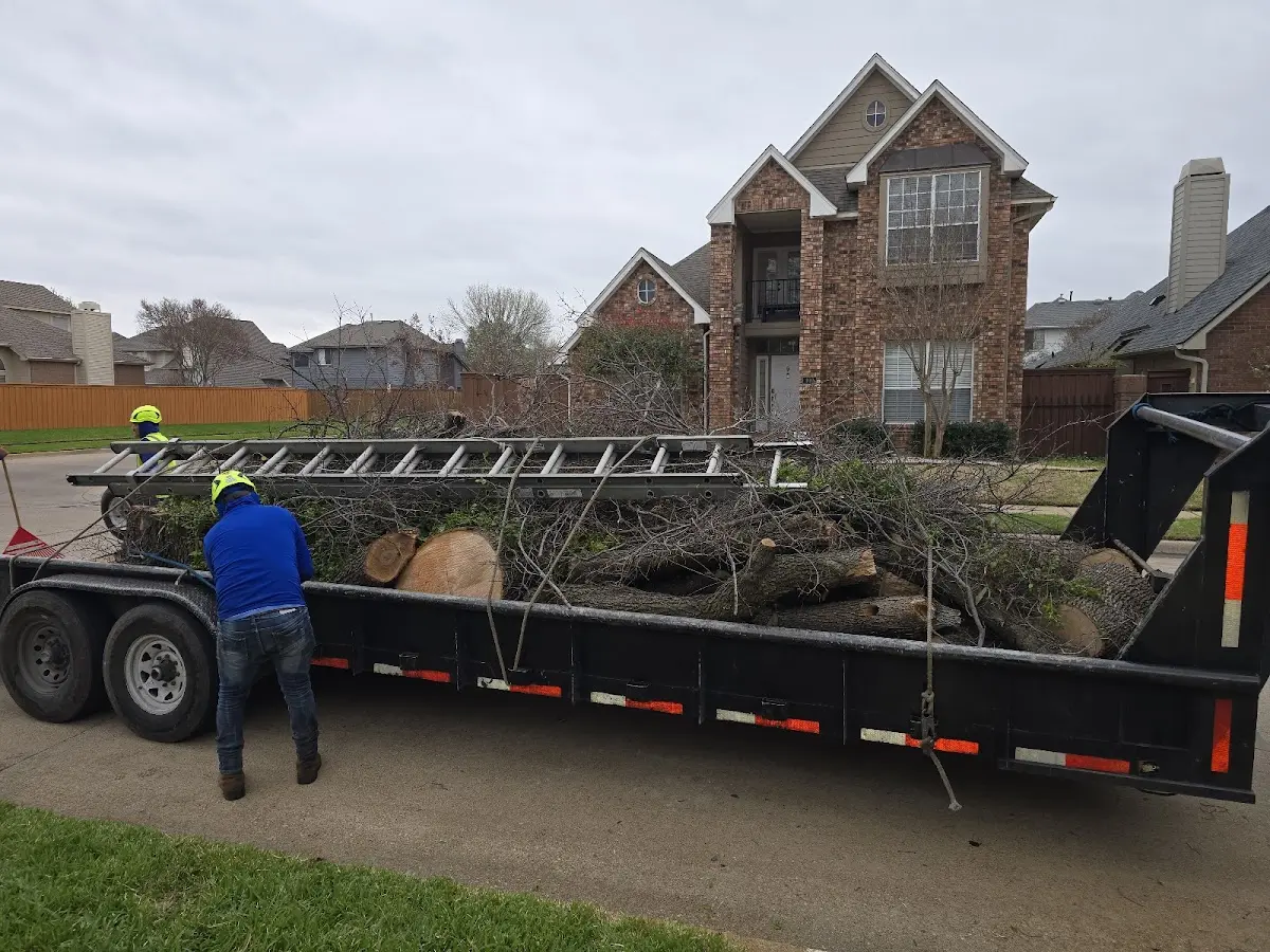 Expert Crown Reduction with proper safety equipment in Springtown